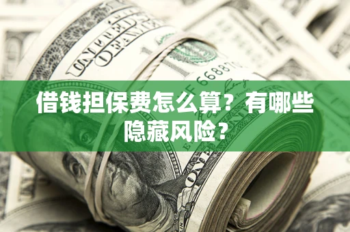 武汉借钱担保费怎么算？有哪些隐藏风险？