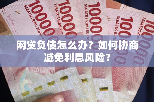 武汉网贷负债怎么办？如何协商减免利息风险？