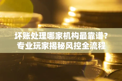 武汉坏账处理哪家机构最靠谱？专业玩家揭秘风控全流程