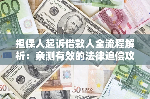 武汉担保人起诉借款人全流程解析：亲测有效的法律追偿攻略