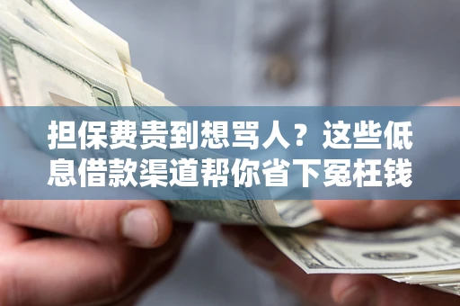 武汉担保费贵到想骂人？这些低息借款渠道帮你省下冤枉钱