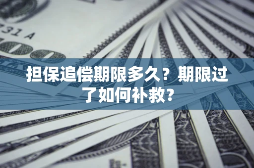 武汉担保追偿期限多久？期限过了如何补救？