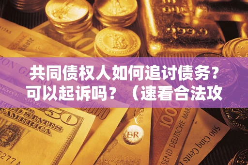 武汉共同债权人如何追讨债务？可以起诉吗？（速看合法攻略）