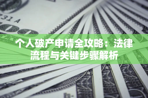 武汉个人破产申请全攻略：法律流程与关键步骤解析