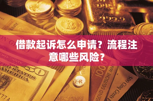 武汉借款起诉怎么申请？流程注意哪些风险？