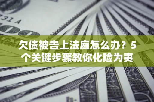 武汉欠债被告上法庭怎么办？5个关键步骤教你化险为夷
