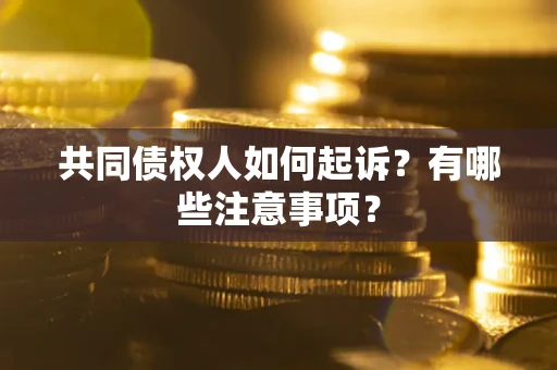 武汉共同债权人如何起诉？有哪些注意事项？